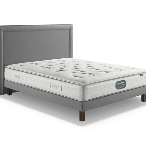 BEAUTYREST ENERGY FIRM